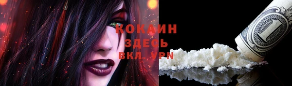 MESCALINE Покачи