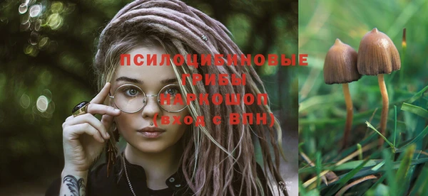 MESCALINE Покачи