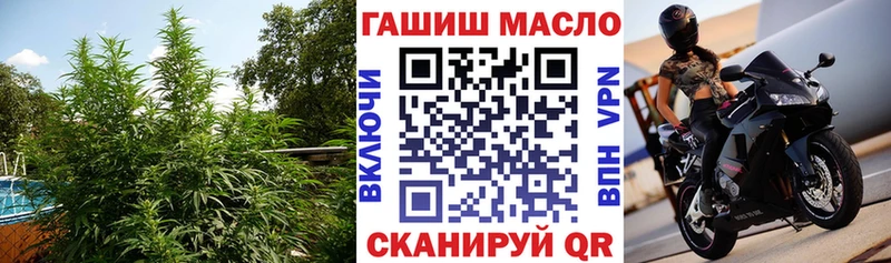 Купить где  Иноземцево  ТГК Wax 